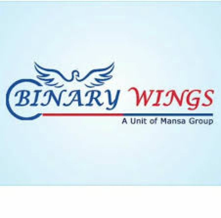 Binary Wings